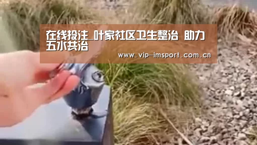 im体育官网
