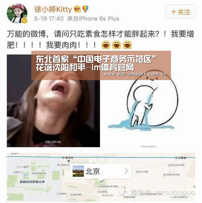 东北首家“中国电子商务示范区”花落沈阳和平-im体育官网(图1) im体育下载
