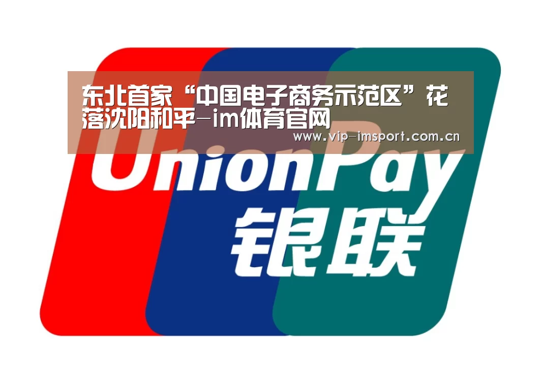 东北首家“中国电子商务示范区”花落沈阳和平-im体育官网(图4) 在线投注