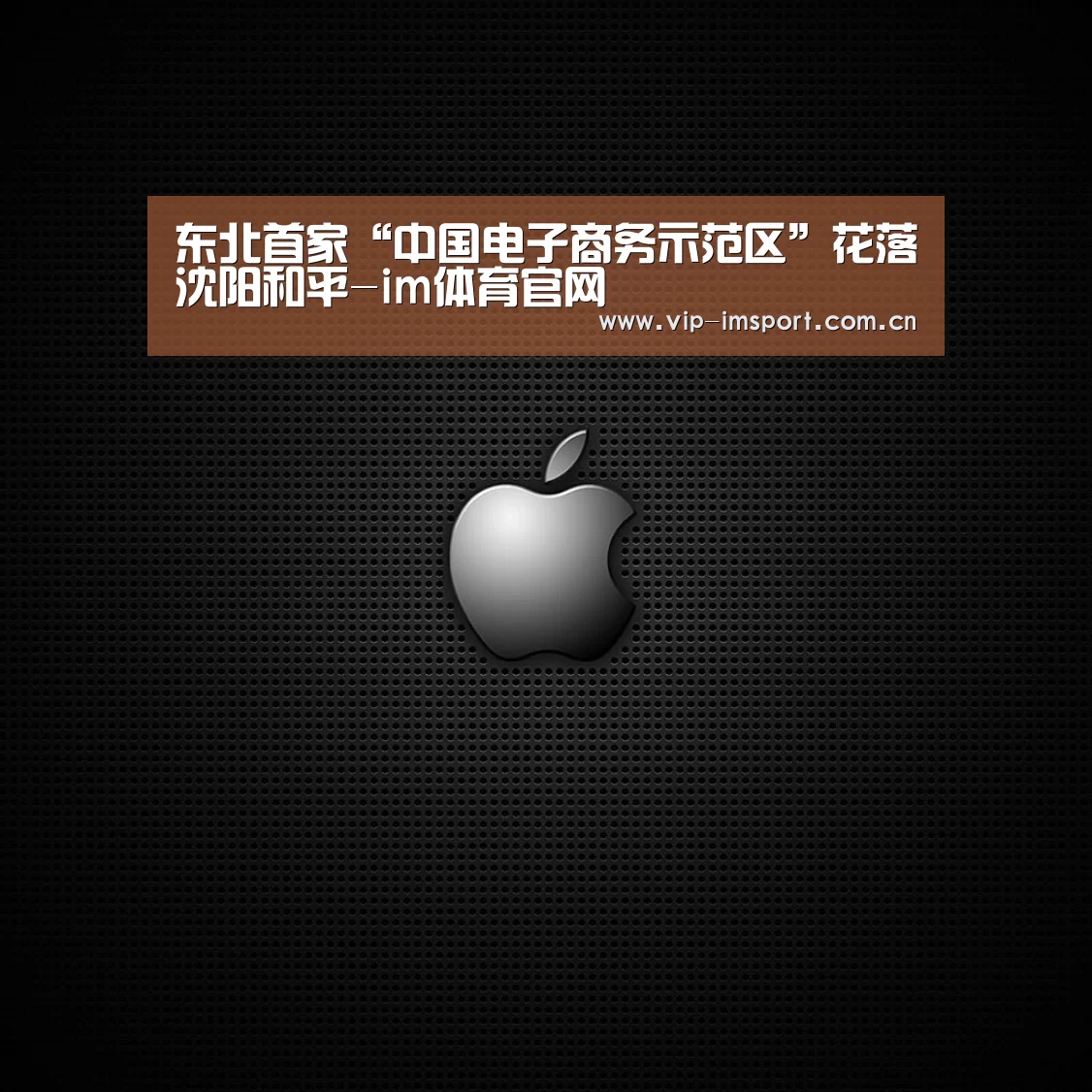 东北首家“中国电子商务示范区”花落沈阳和平-im体育官网(图3) 实时赔率