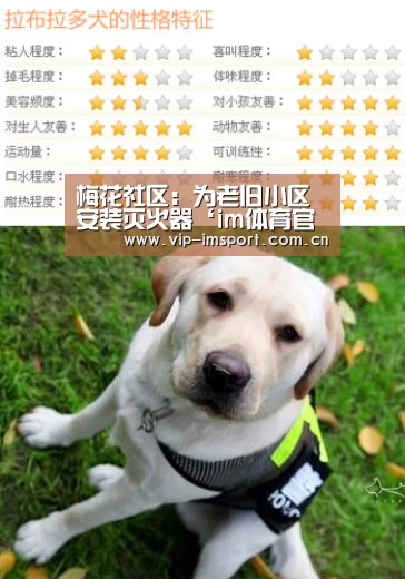 实时赔率