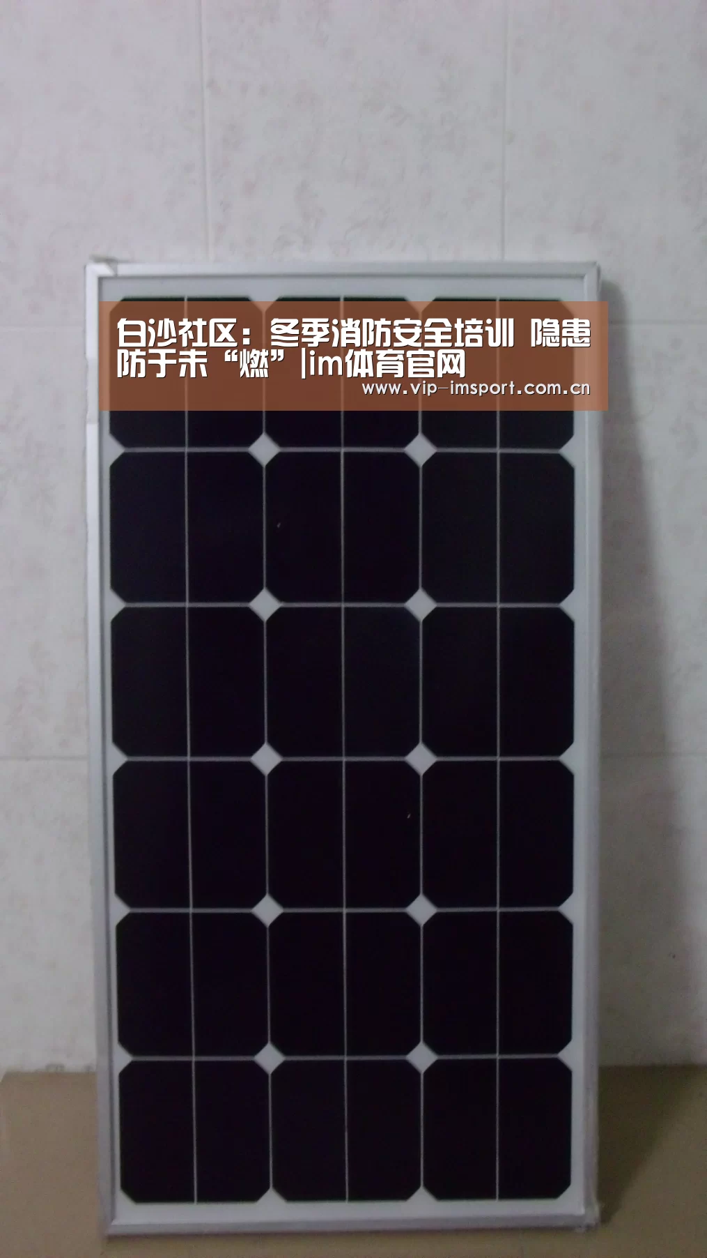 在线投注