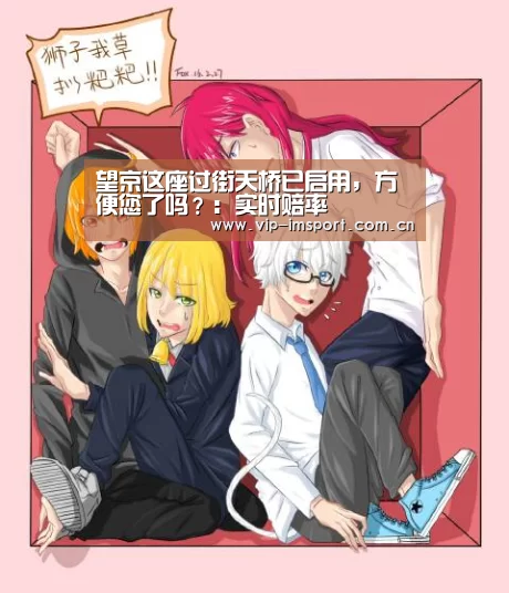 im体育官网